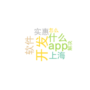 开发app用什么软件_上海 app开发 实惠_怎么解决