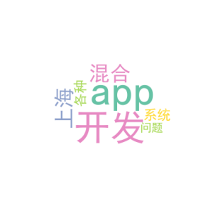 app混合开发_上海app系统开发衫_各种问题