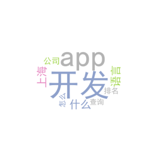 app用什么语言开发_上海app开发公司排名_怎么查询