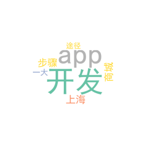 app开发步骤_上海商城app开发_一大途径